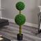 4ft. Potted Boxwood Double Ball Topiary Tree with Woven Trunk